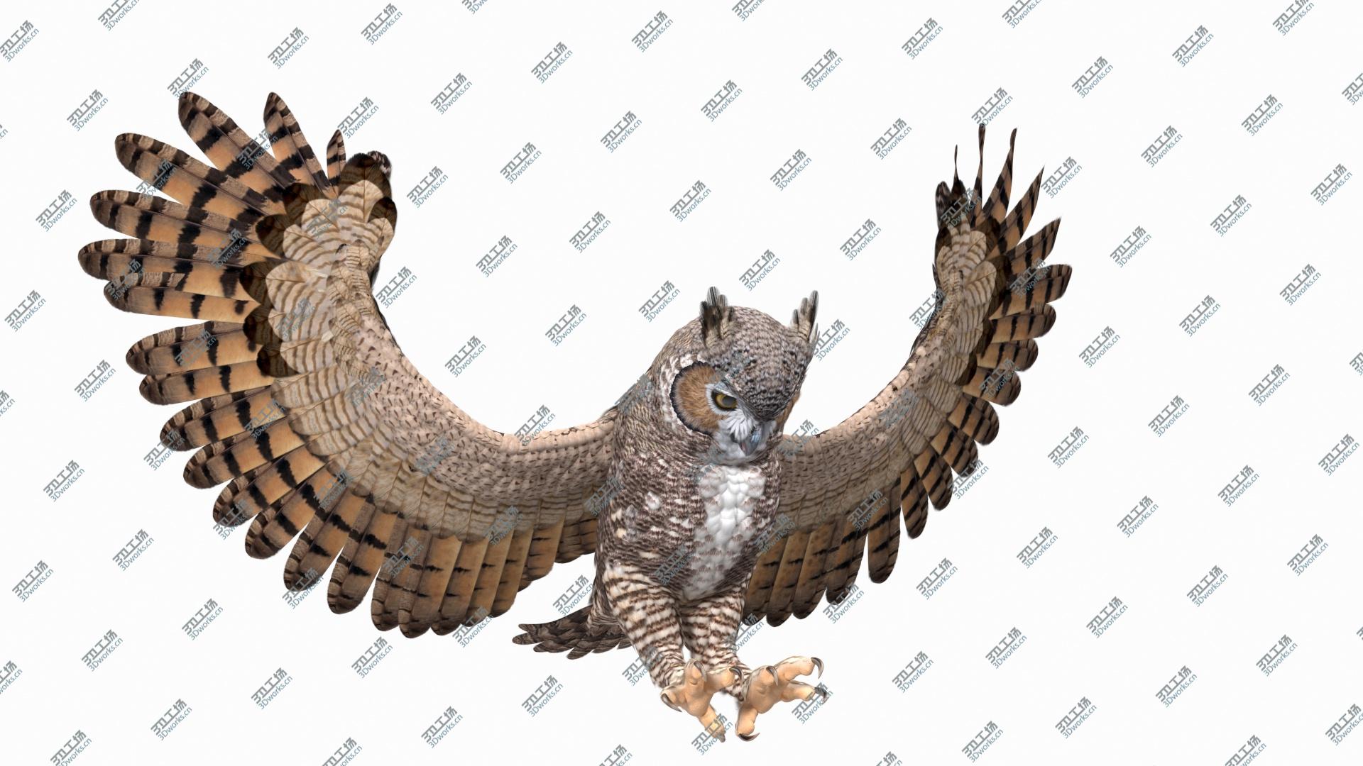 images/goods_img/2021040164/Great Horned Owl Attacking Pose 3D model/2.jpg
